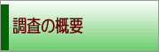 調査の概要